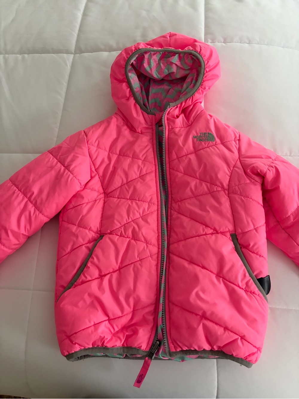 The North Face Bright Pink Hooded Puffer Jacket